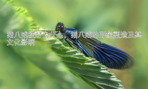 猪八戒被封为什么，猪八戒的形象塑造及其文化影响插图