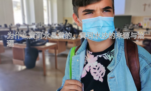 为什么黄河水是黄的，黄河水沙的来源与治理插图