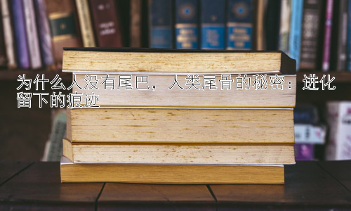为什么人没有尾巴，人类尾骨的秘密：进化留下的痕迹插图