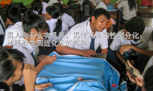 男人为什么有乳头，男性乳头与性别分化：从胚胎学到进化论的视角插图