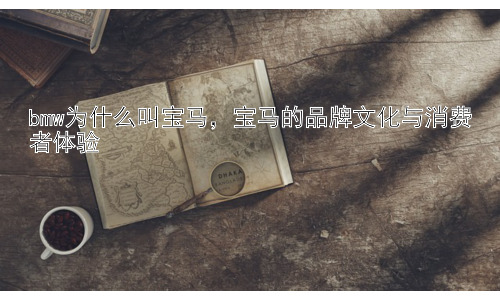 bmw为什么叫宝马，宝马的品牌文化与消费者体验插图