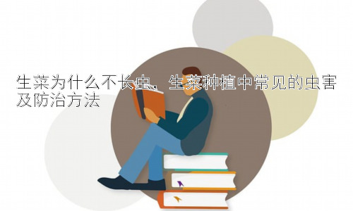 生菜为什么不长虫，生菜种植中常见的虫害及防治方法插图