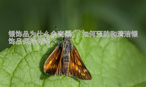 银饰品为什么会变黑， 如何预防和清洁银饰品保持光泽插图