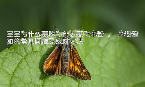 宝宝为什么要吃为什么要吃米粉 ， 米粉添加的常见问题及应对方法插图