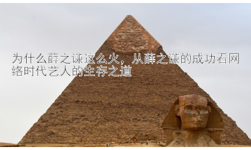 为什么薛之谦这么火，从薛之谦的成功看网络时代艺人的生存之道插图