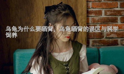 乌龟为什么要晒背，乌龟晒背的误区与科学饲养插图