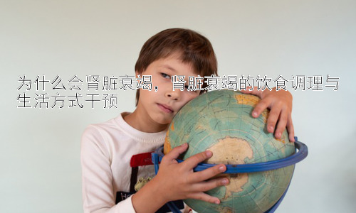 为什么会肾脏衰竭，肾脏衰竭的饮食调理与生活方式干预插图