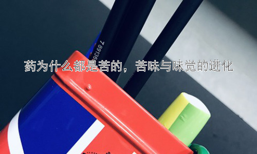 药为什么都是苦的，苦味与味觉的进化插图
