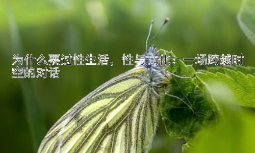 为什么要过性生活，性与文化：一场跨越时空的对话插图