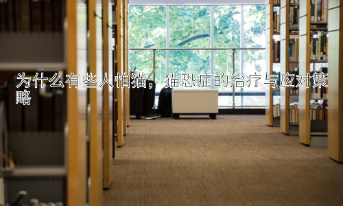 为什么有些人怕猫，猫恐症的治疗与应对策略插图