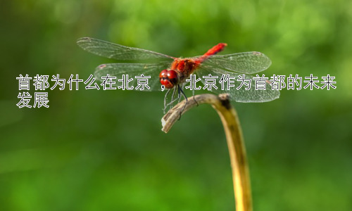 首都为什么在北京 ， 北京作为首都的未来发展插图