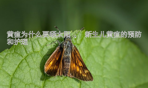 黄疸为什么要晒太阳 ， 新生儿黄疸的预防和护理插图