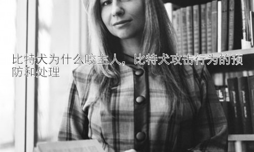 比特犬为什么咬主人，比特犬攻击行为的预防和处理插图