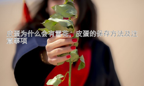 皮蛋为什么会有雪花，皮蛋的保存方法及注意事项插图