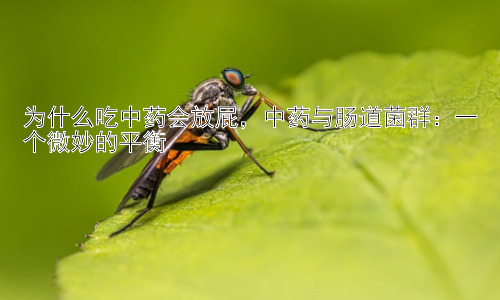 为什么吃中药会放屁，中药与肠道菌群：一个微妙的平衡插图