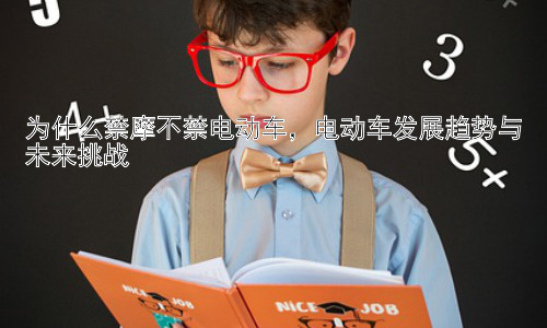 为什么禁摩不禁电动车，电动车发展趋势与未来挑战插图
