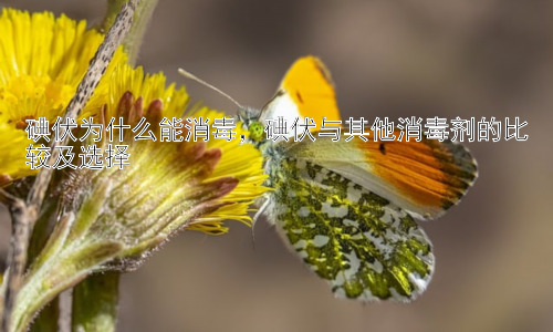 碘伏为什么能消毒，碘伏与其他消毒剂的比较及选择插图