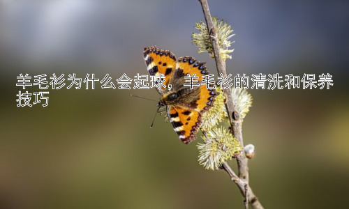 羊毛衫为什么会起球，羊毛衫的清洗和保养技巧插图