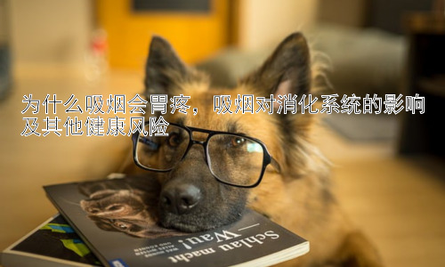为什么吸烟会胃疼，吸烟对消化系统的影响及其他健康风险插图