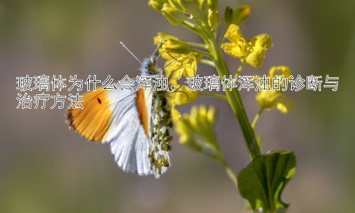 玻璃体为什么会浑浊，玻璃体浑浊的诊断与治疗方法插图
