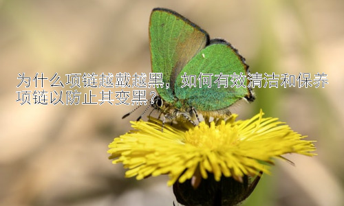 为什么项链越戴越黑，如何有效清洁和保养项链以防止其变黑？插图