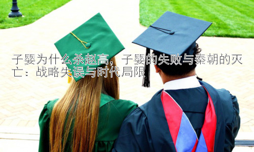 子婴为什么杀赵高，子婴的失败与秦朝的灭亡：战略失误与时代局限插图