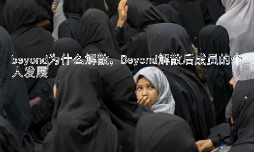 beyond为什么解散，Beyond解散后成员的个人发展插图