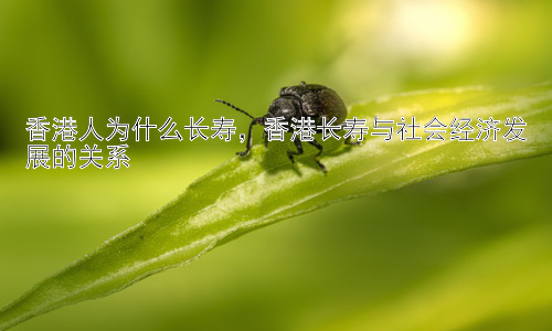 香港人为什么长寿，香港长寿与社会经济发展的关系插图