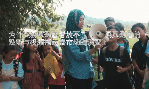为什么暴风影音播放不了 ，  暴风影音的没落与视频播放器市场的演变插图