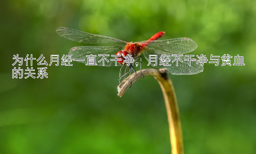 为什么月经一直不干净，月经不干净与贫血的关系插图
