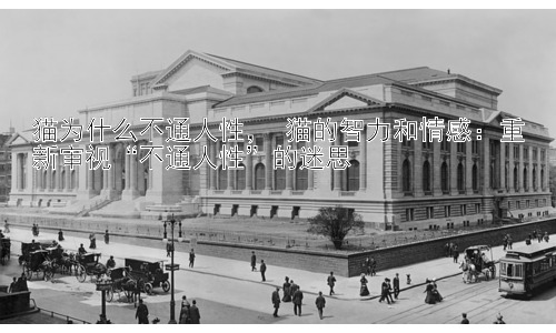 猫为什么不通人性， 猫的智力和情感：重新审视“不通人性”的迷思插图