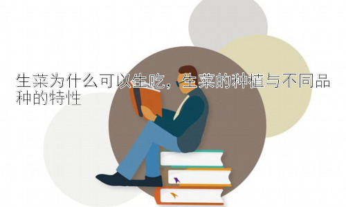 生菜为什么可以生吃，生菜的种植与不同品种的特性插图