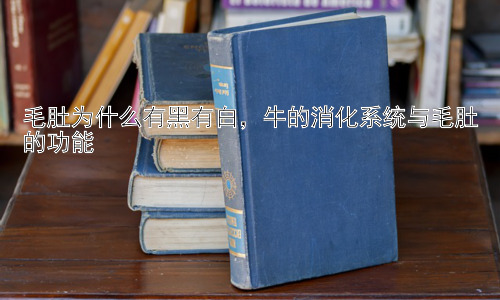 毛肚为什么有黑有白，牛的消化系统与毛肚的功能插图