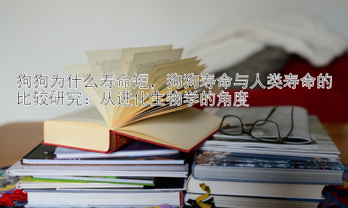 狗狗为什么寿命短，狗狗寿命与人类寿命的比较研究：从进化生物学的角度插图