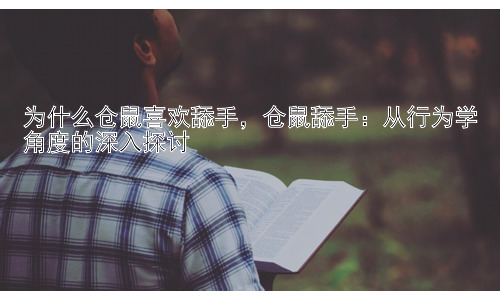 为什么仓鼠喜欢舔手，仓鼠舔手：从行为学角度的深入探讨插图