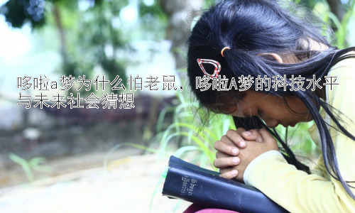 哆啦a梦为什么怕老鼠，哆啦A梦的科技水平与未来社会猜想插图