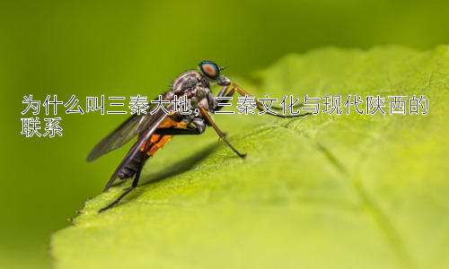 为什么叫三秦大地，三秦文化与现代陕西的联系插图