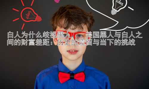 白人为什么歧视黑人，  美国黑人与白人之间的财富差距：历史的遗留与当下的挑战插图