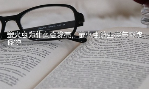 萤火虫为什么会发亮，萤火虫的生存与环境保护插图