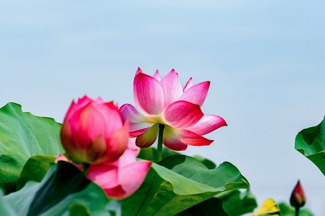 是什么意思，“是什么意思”的深度探讨：信息时代与知识获取插图2