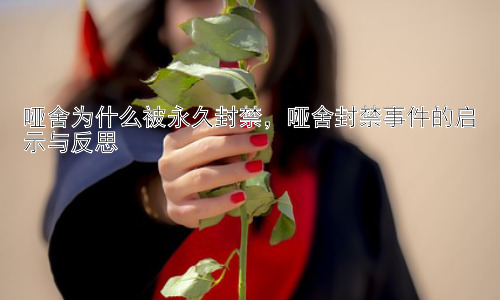 哑舍为什么被永久封禁，哑舍封禁事件的启示与反思插图