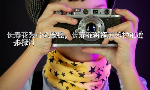 长寿花为什么致癌，长寿花种植及养护的进一步探讨插图