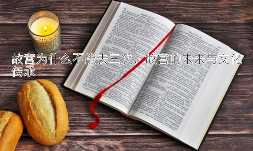 故宫为什么不能去三次，故宫的未来与文化传承插图