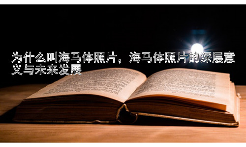 为什么叫海马体照片，海马体照片的深层意义与未来发展插图