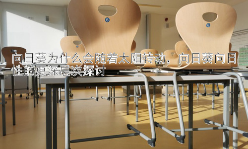 向日葵为什么会随着太阳转动，向日葵向日性的更深层次探讨插图