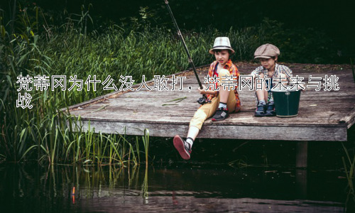 梵蒂冈为什么没人敢打，梵蒂冈的未来与挑战插图