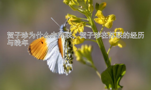 贺子珍为什么去苏联，贺子珍在苏联的经历与晚年插图