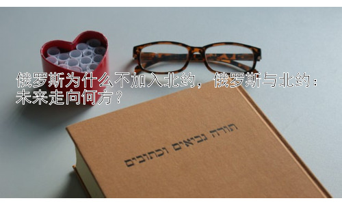 俄罗斯为什么不加入北约，俄罗斯与北约：未来走向何方？插图