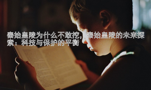 秦始皇陵为什么不敢挖，秦始皇陵的未来探索：科技与保护的平衡插图