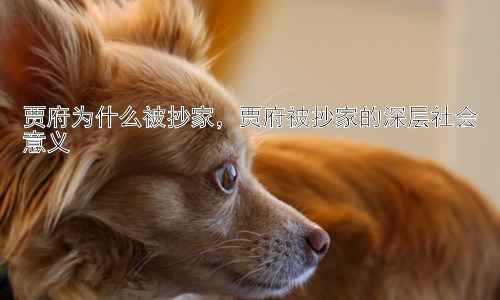 贾府为什么被抄家，贾府被抄家的深层社会意义插图